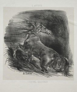 The Wild Horse — Eugène Delacroix