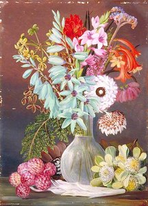 Green Flowered Ixia And Other Cape Singularities — Marianne North