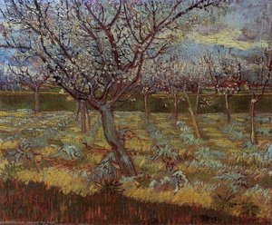 Apricot Trees In Blossom 2 — Vincent Willem Van Gogh