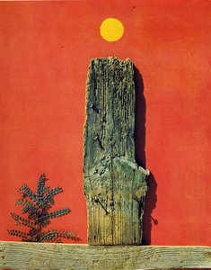 Red Forest — Max Ernst