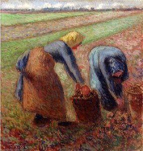 Kartuli Viljapüügi Maaling — Camille Pissarro