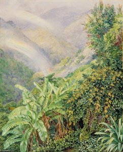 View Of The Artist's House In Jamaica With A Double Rainbow — Marianne North